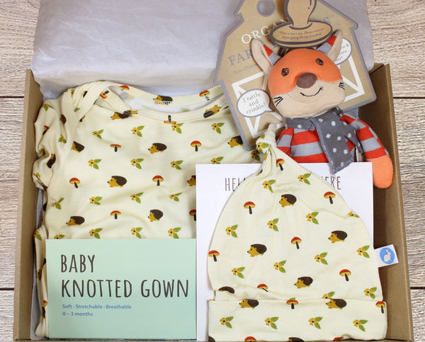 Baby Gift Box - Hedgehog